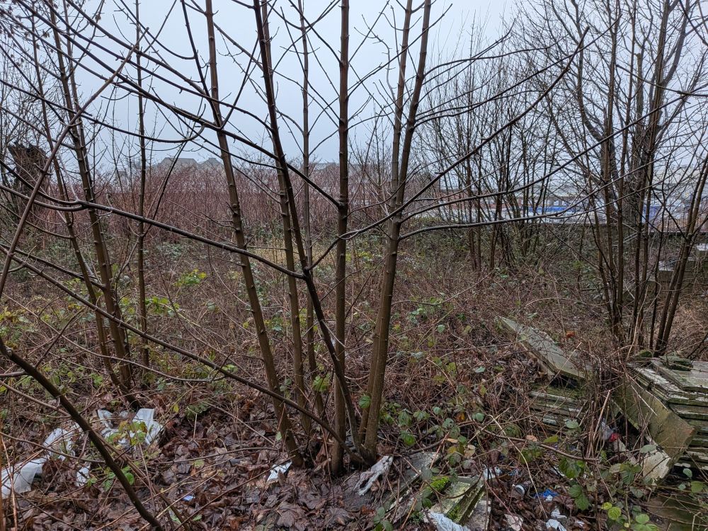 18, Usher Street Bradford, BD4 7DS